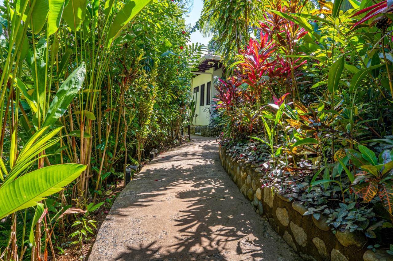 Villas En El Bosque Охочаль Экстерьер фото