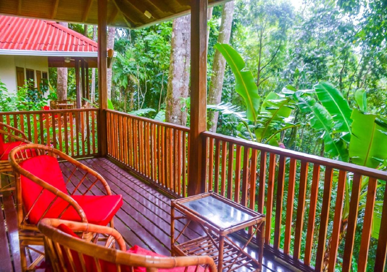 Villas En El Bosque Охочаль Экстерьер фото