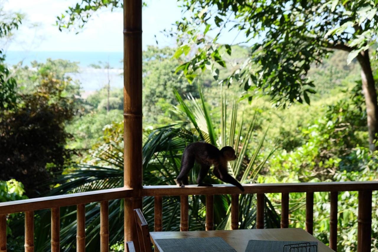 Villas En El Bosque Охочаль Экстерьер фото